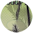 -VERDE PALMERA-