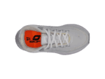 Rp01 – gris (1)